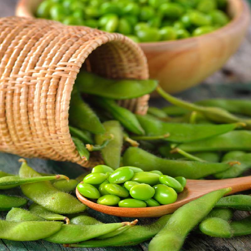 Soy Beans